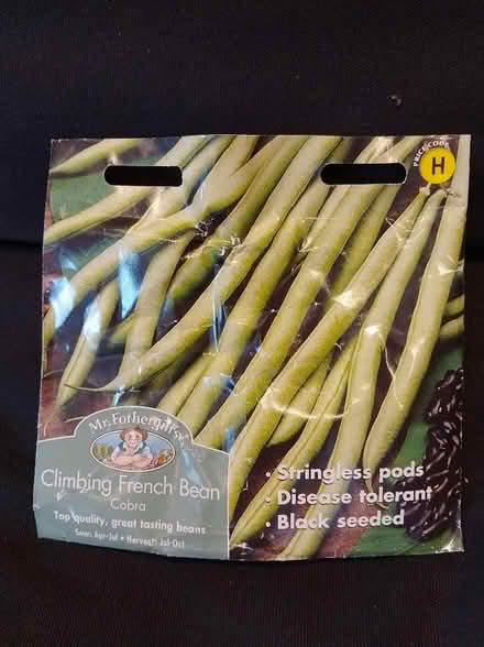 Photo of free Climbing Bean Seeds (South Tonbridge TN9) #1