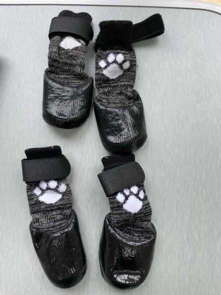 Photo of free Dog booties (Oxford-Freegle CGA OX4) #1