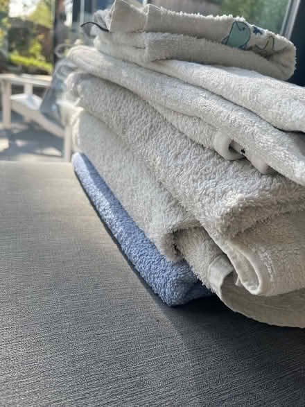 Photo of free Selection of old towels - good for dogs (Broxbourne EN10) #1
