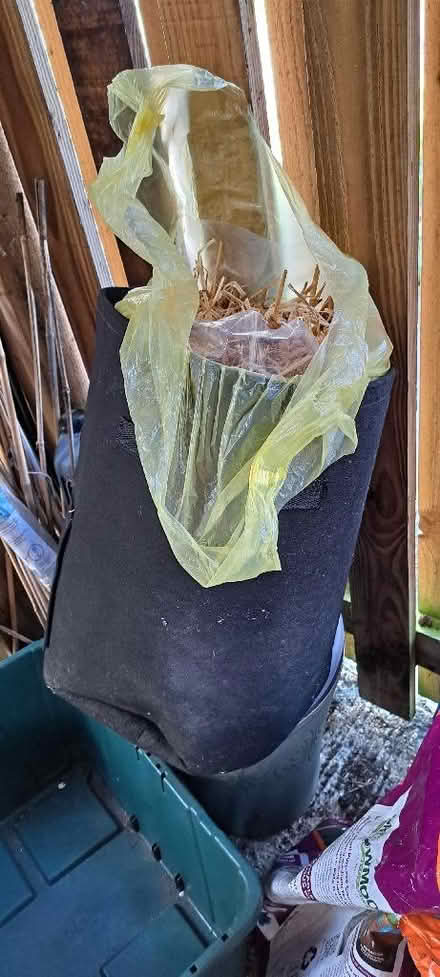 Photo of free Bag of straw (Nailsworth GL6) #2