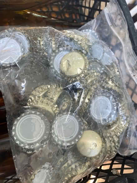 Photo of free Brewing equipment (Bevendean BN2) #4