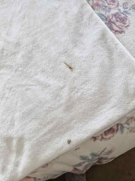 Photo of free Next Hooded child's snug blanket (Knightsfield AL8) #3