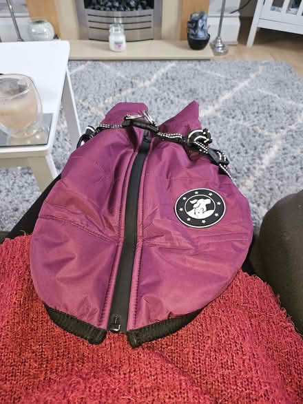 Photo of free Dog coat (Normanton DE23) #1