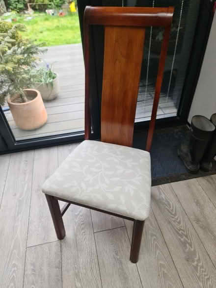 Photo of free 4 dining chairs (Gosforth NE3) #1