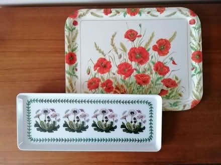 Photo of free 2 trays (Deneside View DH2) #1