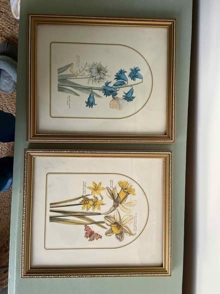 Photo of free FRAMED FLOWER PICTURES x2 (Oadby LE2) #1