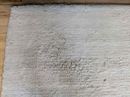Photo of free Large rug (Woodstock OX20) #2