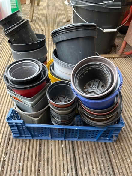 Photo of free Empty plants pots (Ware SG12) #1