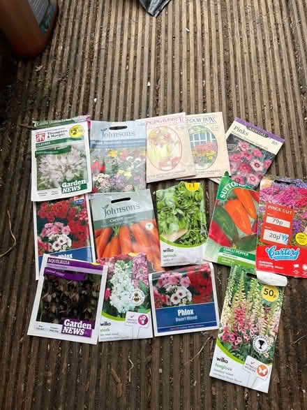 Photo of free Seeds (Ware SG12) #1