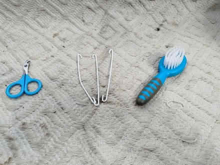 Photo of free Small Pet Care Items (Catton NR6) #1