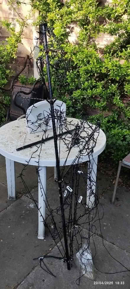 Photo of free 6ft Christmas tree for the garden (Great Moor SK7) #1