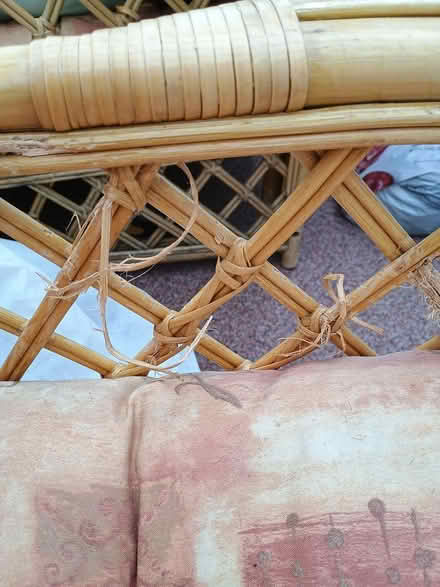Photo of free Conservatory furniture (Bridlington) #3