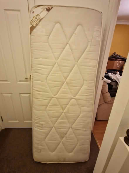 Photo of free Single bed with folding metal frame (Steyning BN44) #1