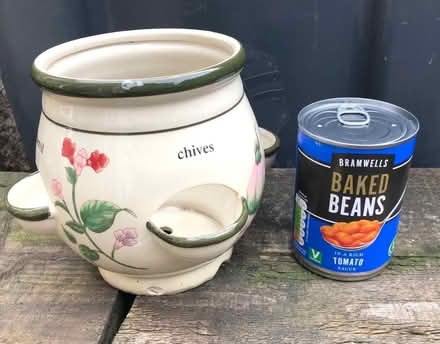 Photo of free Medium size ceramic herb planter. (Great Harwood BB6) #3