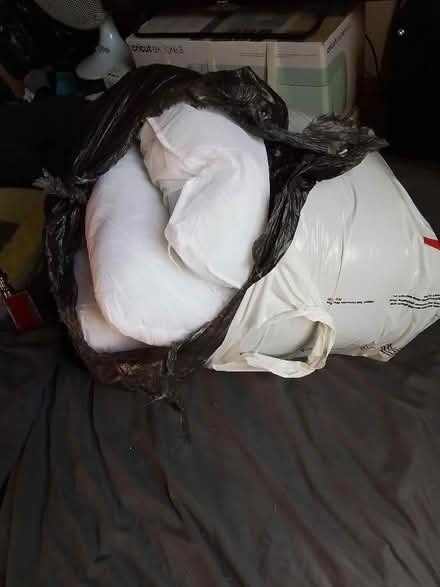 Photo of free 4 standard size cushions (Granton EH5) #1