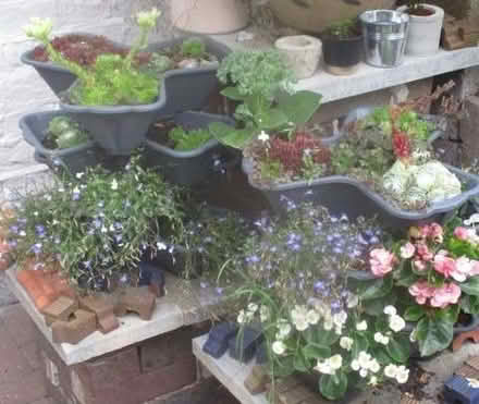 Photo of free Cascading plant pots (Ilford IG1) #2
