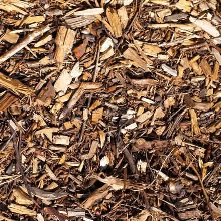 Photo of Wood chip (Holmewood S44) #1