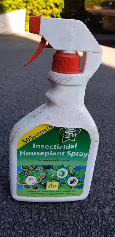 Photo of free House Plant Insecticidal Spray (Hutton PR4) #1