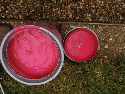Photo of free Paint. Emulsion. (Isfield BN8) #2