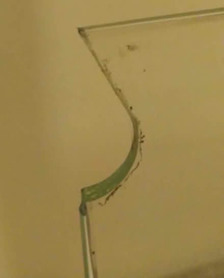 Photo of free Piece of glass (North Woodchester GL5) #2