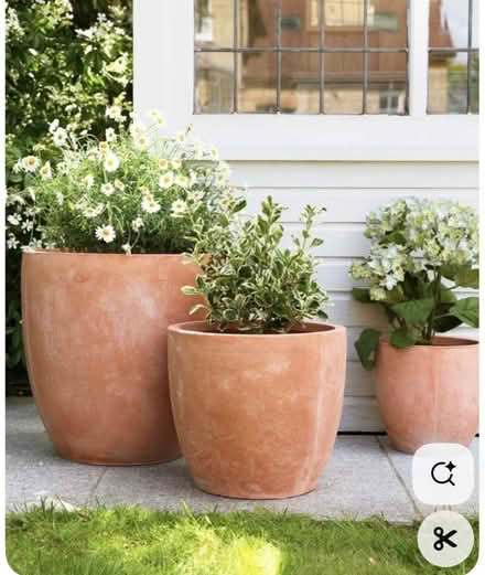 Photo of Large pots/planters (South Woodford E18) #1