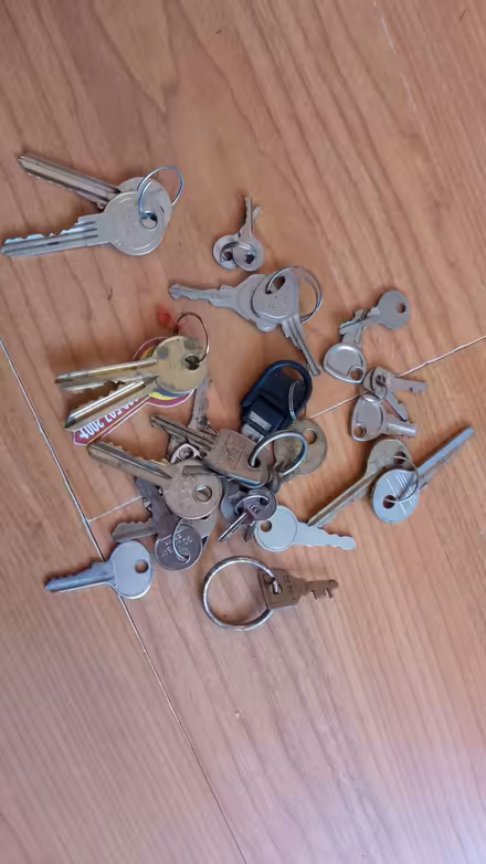 Photo of free Many odd keys (Whiston L35) #2