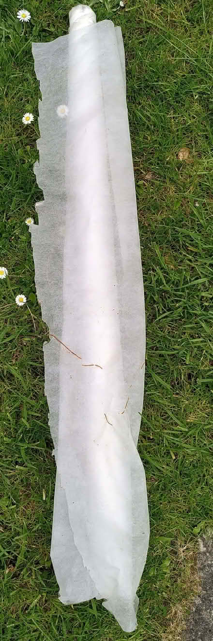Photo of free Garden fleece (North Woodchester GL5) #1