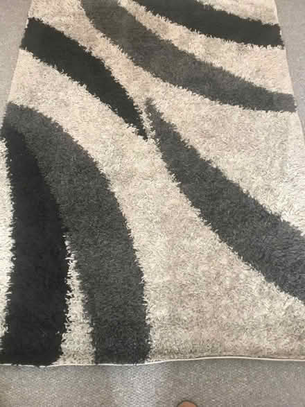 Photo of free Grey shag pile large rug (CV4) #1