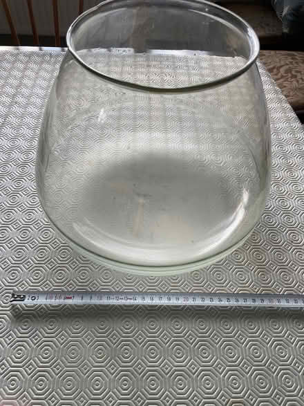 Photo of free Gold fish bowl (ashford) #2
