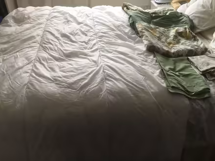 Photo of free Single duvet (Bromsgrove B61 7) #1