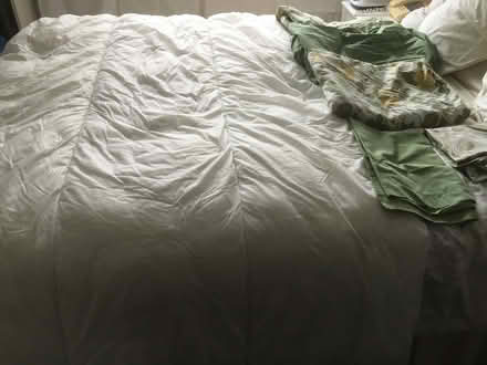 Photo of free Single duvet (Bromsgrove B61 7) #1