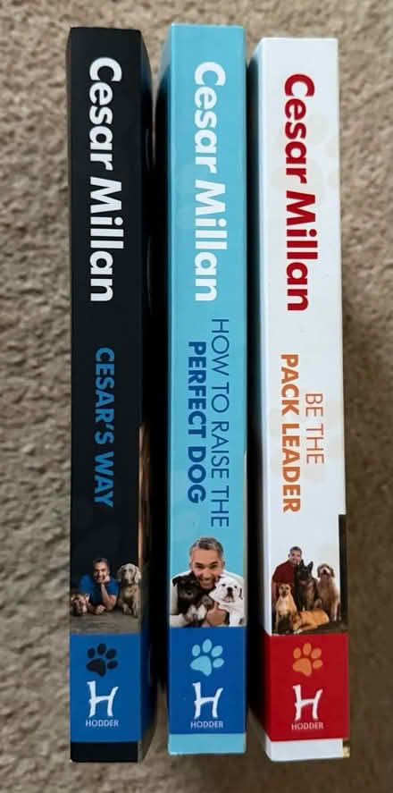 Photo of free New* 3x dog training books (Cirencester) #2