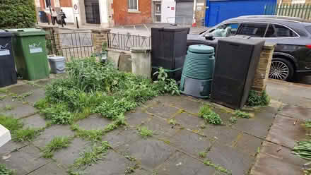 Photo of free 2 hot compost bins (Ravenscourt Park W6) #2
