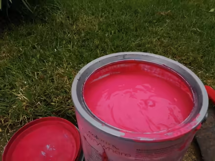 Photo of free Paint. Emulsion. (Isfield BN8) #1