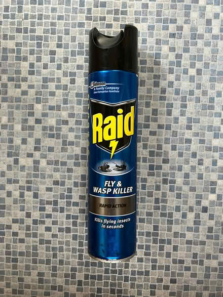 Photo of free Raid Fly and Wasp Killer (Bilton HG1) #1