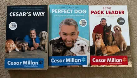 Photo of free New* 3x dog training books (Cirencester) #1