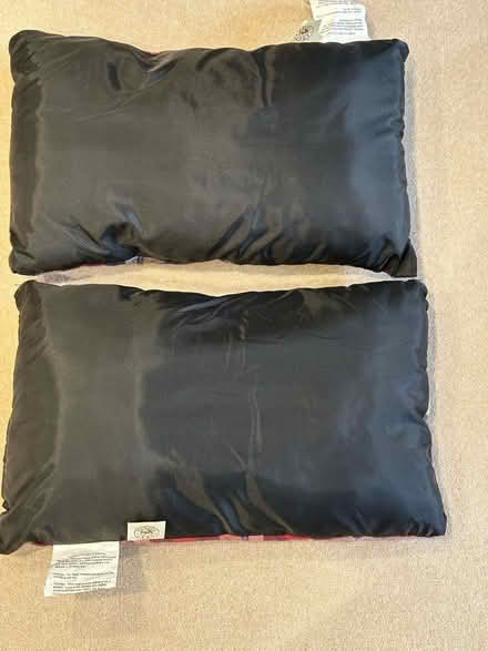 Photo of free Camping Pillows (Weybridge KT13) #2