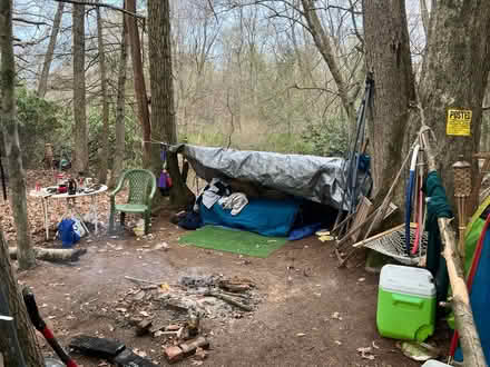 Photo of Homesteading need wood lumber (Lansford) #3