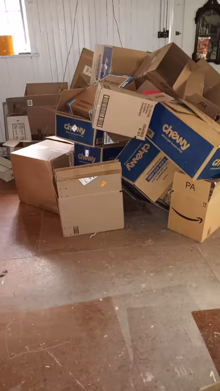 Photo of free Moving boxes (19095) #1