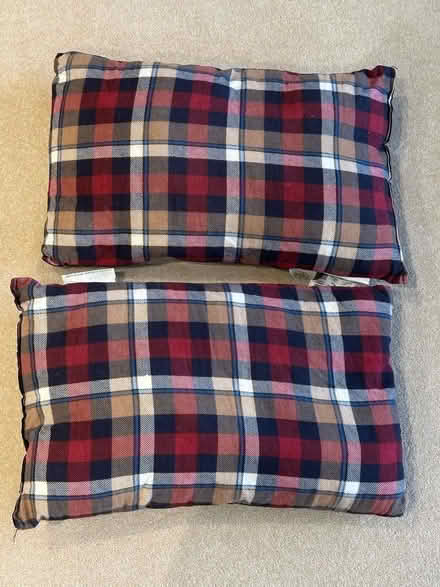 Photo of free Camping Pillows (Weybridge KT13) #1