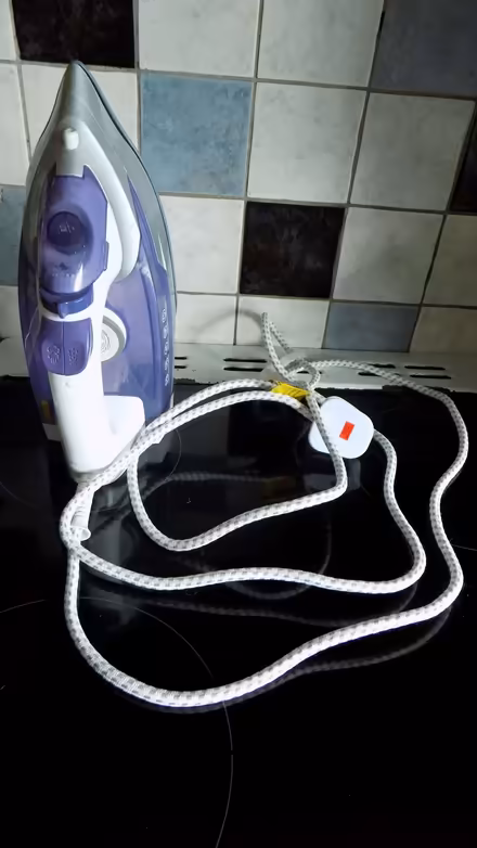 Photo of free George Home brand steam iron (Canworthy Water PL15) #2