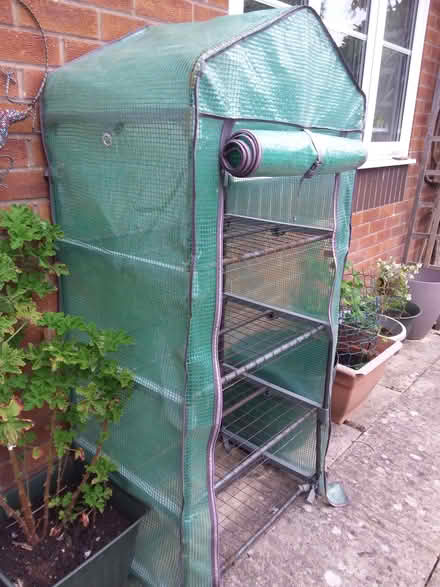 Photo of free Greenhouse (Barton-on-Sea BH25) #3