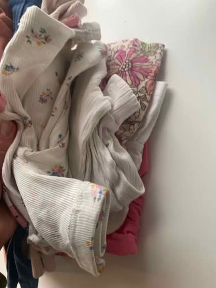 Photo of free Baby girl size 3-6 (Northlands Park Neighbourhood SS13) #2