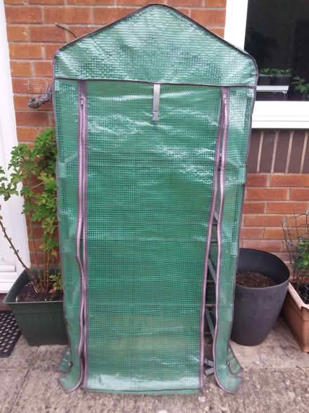 Photo of free Greenhouse (Barton-on-Sea BH25) #2
