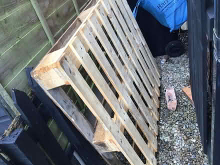 Photo of free Standard Pallet (Boroughbridge YO51) #1