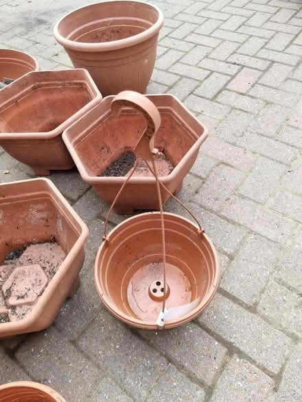 Photo of free Plant pots and hanging basket (Sunniside NE16) #4