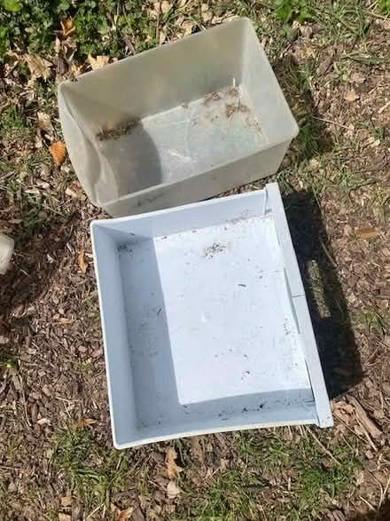 Photo of free Storage or Growing containers (CT11) #4