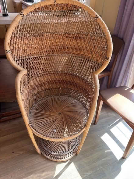 Photo of free Peacock chair (Dothill TF1) #1