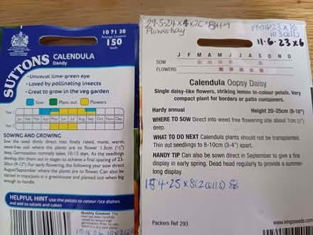 Photo of free Calendula saved seeds. (Chichester PO19) #2