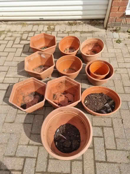 Photo of free Plant pots and hanging basket (Sunniside NE16) #1